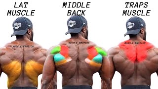 TOP 5 LAT MIDDLE BACK TRAPS WORKOUT WITH DUMBBELLS CABLE AND MACHINE AT GYM [upl. by Polivy344]