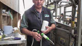 How to guide for oral drenching cattle Sterimatic amp Hook Norton vets july 14 [upl. by Fabrin]