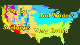 Köppen Climate Types Explained [upl. by Nnayt969]