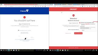 FSecure Home vs Emsisoft Antimalware Home with malware samples [upl. by Fowler]