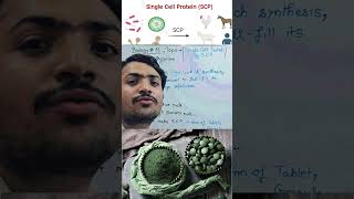 What is Single Cell Protein l SCP protein biology neet neetpyq shorts wbc rbc bio botany [upl. by Vernen]