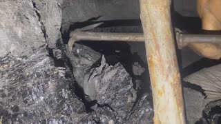 The Most Dangerous Job on Earth  Coal Minings Unseen Dangers shorts coalindustry [upl. by Enillebyam316]