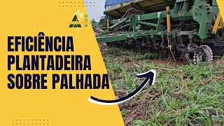 Eficiência da Plantadeira Sobre Palhada Como Ela Funciona [upl. by Janessa]