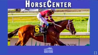 2022 Travers Stakes amp Personal Ensign Top Picks on HorseCenter [upl. by Bruning]