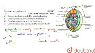 Pyrenoids are made up of [upl. by Chitkara]