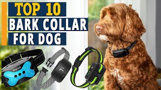 Best Bark Collar For Dogs in 2022  TOP 10 Review [upl. by Anerda]