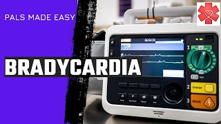 Pediatric Advanced Life Support PALS Bradycardia Algorithm [upl. by Ydok490]