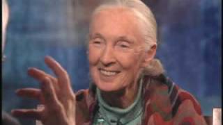 BILL MOYERS JOURNAL  Dr Jane Goodall pt 1  PBS [upl. by Esyned49]