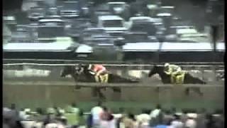 Preakness Stakes música quotMaryland My Marylandquot  Sunday Silence bate a Easy Goer [upl. by Harbird92]