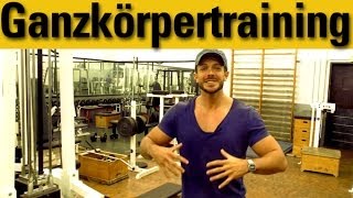 GanzkörperTrainingsplan für Muskelaufbau im Gym [upl. by Ellenehc435]