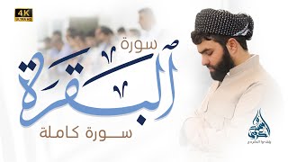 سورة البقرة كاملة للقارئ بيشةوا قادر الكردى رمضان2022Sourate Al Baqara Peshawa Qadr Al Kurdi 2022 [upl. by Gayner]