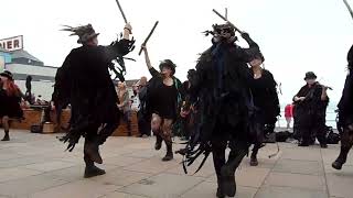 Beltane Border Morris  Huntress  Teignmouth Folk Festival  23 Jun 24 [upl. by Seni]