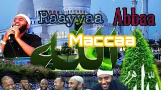 New Raayyaa Abbaa maccaa 31 ffaa [upl. by Ellingston]