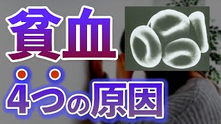 【内科医が解説】貧血の病態と治療 [upl. by Merla849]