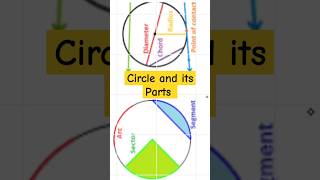 Circle  Radius Diameter chordsectorarcsegmentshortsviralcircletrending class6thmaths [upl. by Namrac572]