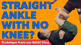 Finishing Straight Ankle Locks with no Knee Control bjj leglocks kuleana nogi ajj jiujitsu [upl. by Shirah]