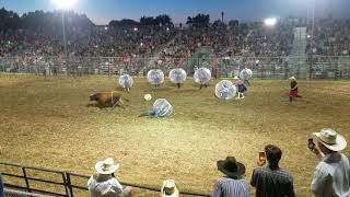 Bull Soccer 2018 Waconia Rodeo [upl. by Croydon117]