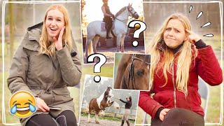 RAAD DE PAARDEN YOUTUBER MET FENNA 2 😂🐴 MOEILIJK  Daphne draaft door amp HoefWijzer [upl. by Alano]