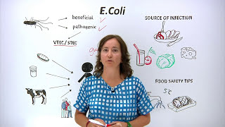 What is EColi What can you do to protect yourself and others [upl. by Shanleigh]