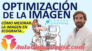 OPTIMIZACIÓN de la 🎨IMAGEN🎨 en ECOGRAFÍA GINECOLÓGICA AJUSTES  Ginecología y Obstetricia [upl. by Anwahsit]