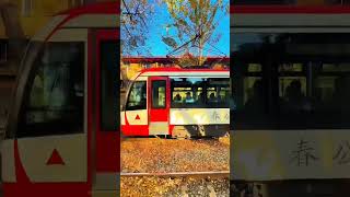 Changchun in autumn respect ballisllife dancegifs [upl. by Wauters]