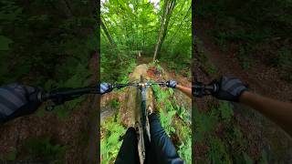 Proper fall line spines mountainbiking mountainbike mtb [upl. by Brigham]