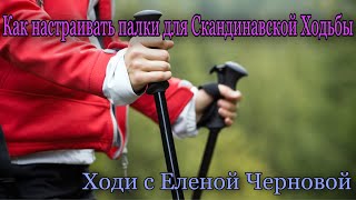 КАК НАСТРАИВАТЬ ПАЛКИ ДЛЯ СКАНДИНАВСКОЙ ХОДЬБЫХоди с Еленой Черновой СкандинавскаяСевернаяходьба [upl. by Aratas]