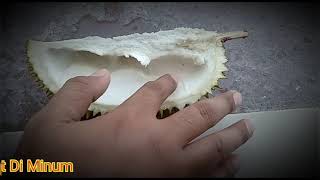 Obat Setelah Makan Durian [upl. by Naloc]