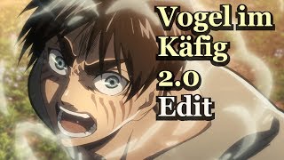 Attack on Titan S2 Finale  YouSeeBIGGIRL Edit Vogel im Kafig 20 [upl. by Tamera]