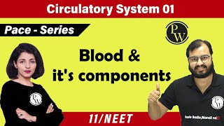 Circulatory System 01  Blood and its components  Class 11 NEET  PACE SERIES [upl. by Eedoj191]