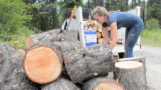 How to Cut Firewood in the Forest [upl. by Augusta981]