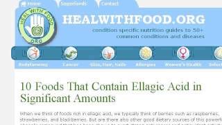 Foods That Contain Ellagic Acid [upl. by Ahsaz]