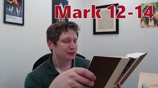 Mark 1214 ESV  Zach Lindquist Reads the Bible [upl. by Marelya610]