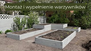 Montaż betonowych warzywników  wypełnienie skrzyń na warzywa  podwyższone grządki [upl. by Aitram]