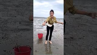 Catching sea eels at low tide [upl. by Chappie]