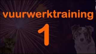 Vuurwerkangst Train je dier 2 min per dag [upl. by Itch]