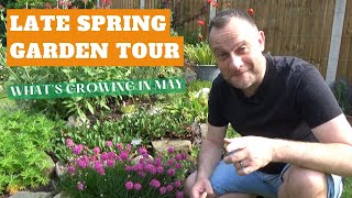 Late Spring Cottage Garden Tour  Seeds and Cuttings Update  What to Grow in May  Gardening Tips [upl. by Enajaras650]