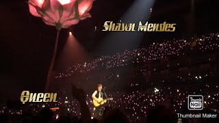 Shawn Mendes Queen BSL [upl. by Feriga]