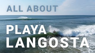 Locals Surf Guide Discover Playa Langosta [upl. by Bobbette]