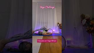 Mastering Halasana on the Yoga Wheel shortsfeed yogapractice yogawheel ytshortsvideo ytshorts [upl. by Aihsekel]