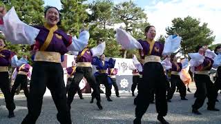 21 佛教大学よさこいサークル紫踊屋 龍馬よさこい2024［４Ｋ］岡崎公園 [upl. by Hannibal]