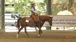 EUROPEAN CHAMPION Master Ranch Riding  GFH SAGUARO amp Lilly Huber  SEP 2024 [upl. by Caleb249]