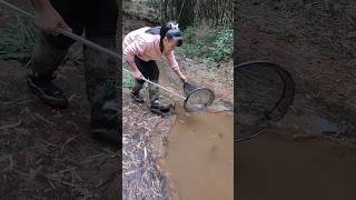 Carp fishing bait pond carp fishing monster carp ridge monkey stealth fishing [upl. by Arabel608]