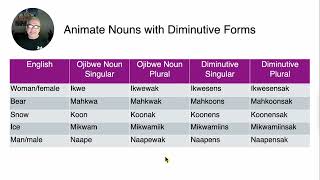 Some Ojibwe Diminutives [upl. by Perretta200]