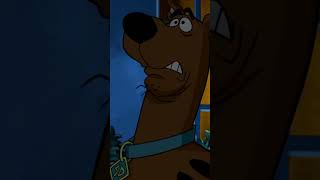 ¿POR QUE SCOOBY DOO PUEDE HABLAR scoobydoo misterio [upl. by Eenaffit]