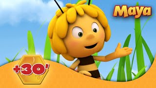 La Abeja Maya 🐝 🕒 30 EPISODIOS COMPLETOS 🐝 [upl. by Keyes680]