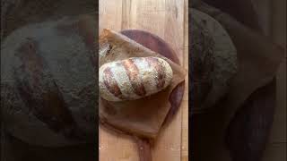 Pizza Dough transforms into Bread on a Baking Steel [upl. by Lleroj]