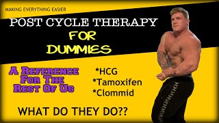 Post Cycle Therapy For Dummies  HCG Nolvadex and Clomid Explained [upl. by Airdnal]