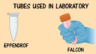 Eppendrof and flacon tubes  an overview [upl. by Ayarahs]