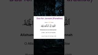 Dua for Jannah jannah islam halal muslim islamic dua allah surah facts gaming [upl. by Anileva]